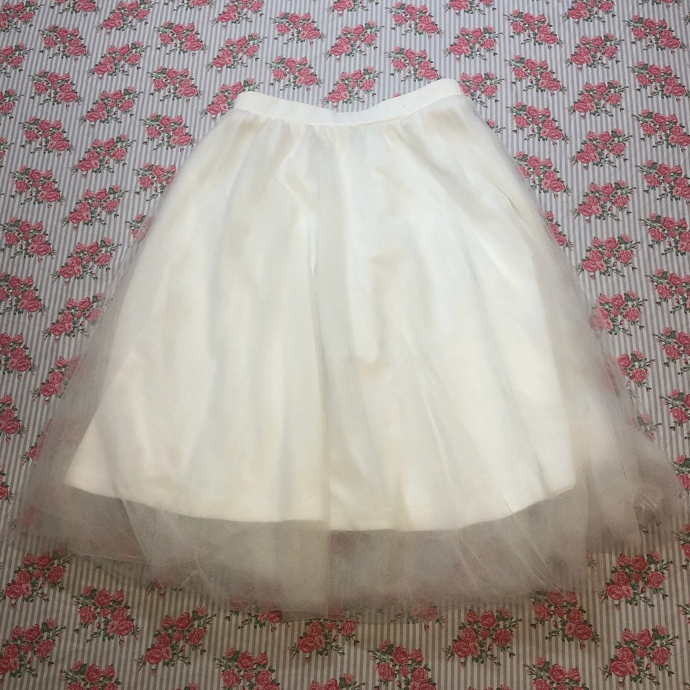 Tulle Skirt